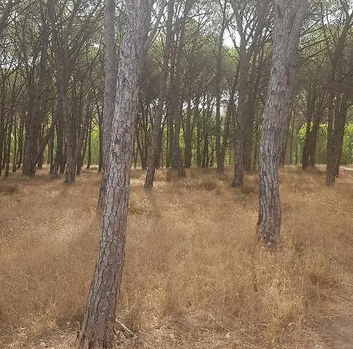 Residenza Bottego Mare Daire Torre Grande