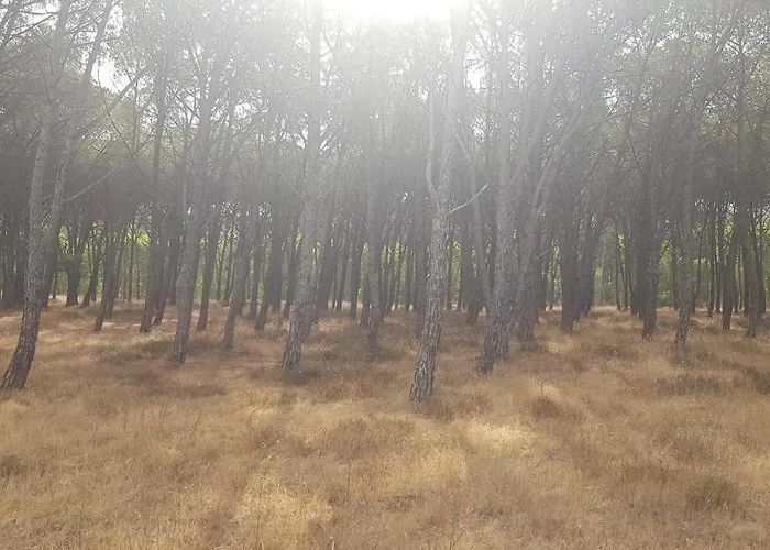 Residenza Bottego Mare Torre Grande